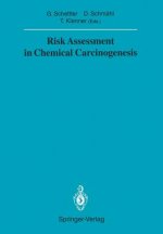 Risk Assessment in Chemical Carcinogenesis