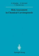Risk Assessment in Chemical Carcinogenesis