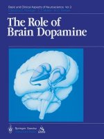 Role of Brain Dopamine