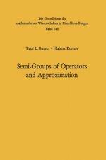 Semi-Groups of Operators and Approximation