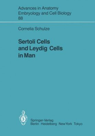 Sertoli Cells and Leydig Cells in Man