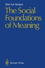Social Foundations of Meaning