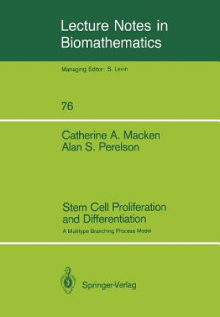 Stem Cell Proliferation and Differentiation