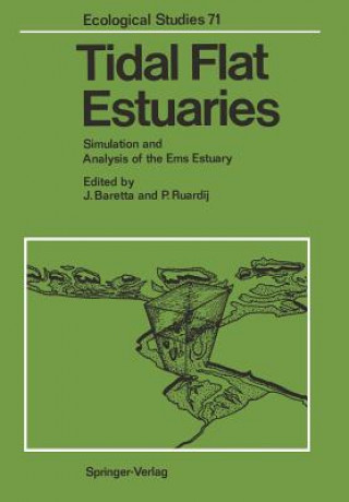 Tidal Flat Estuaries