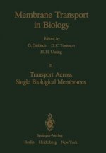 Transport Across Single Biological Membranes