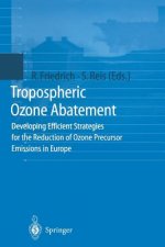 Tropospheric Ozone Abatement