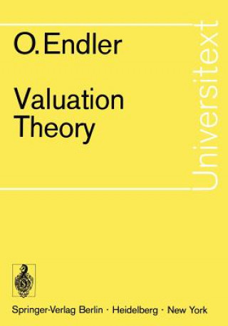 Valuation Theory