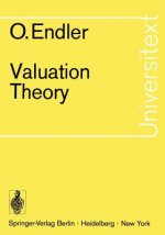 Valuation Theory