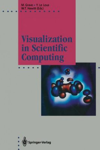 Visualization in Scientific Computing