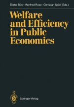 Welfare and Efficiency in Public Economics