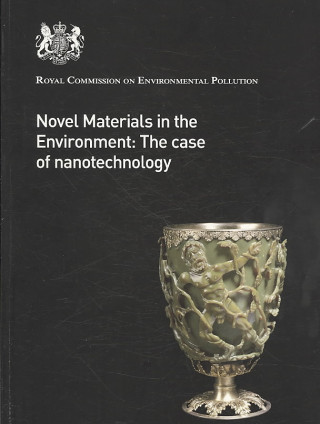 Novel Materials in the Environment