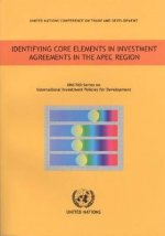 Identifying Core Elements in Investment Agreements in the APEC Region