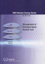 IAEA MANAGEMENTDAMAGED SPENT NUCLE