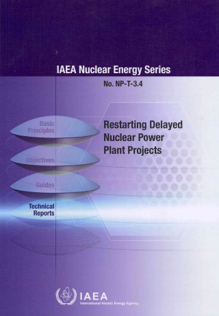 Restarting Delayed Nuclear Plant Projects