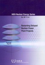 Restarting Delayed Nuclear Plant Projects