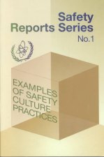 Examples of Safety Culture Practices