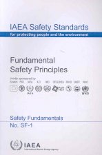 Fundamental Safety Principles