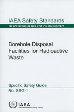 Borehole Disposal Facilities for Radioactive Waste