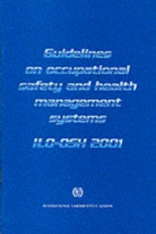 Guidelines on occupational safety and health management systems
