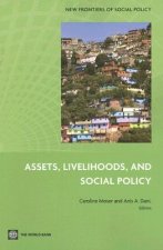 Assets, Livelihoods and Social Policy