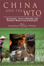 China and the WTO