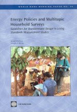 Energy Policies and Multitopic Household Surveys