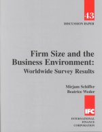 Firm Size and the Business Environment