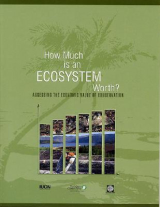 How Much is an Ecosystem Worth?