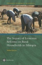 Impact of Economic Reforms on Rural Households in Ethiopia