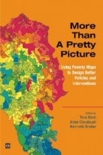 More than a Pretty Picture