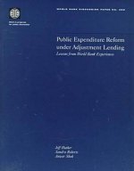 Public Expenditure Reform Under Adjustment Lending