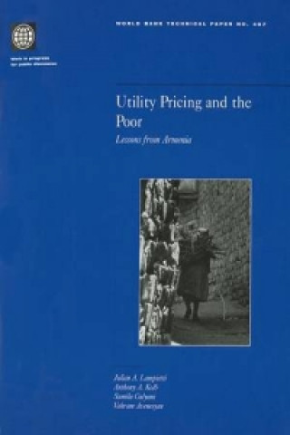 Utility Pricing and the Poor