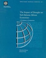 Impact of Drought on Sub-Saharan African Economies