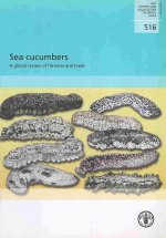 Sea Cucumbers