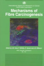Machanisms of Fibre Carcinogenesis