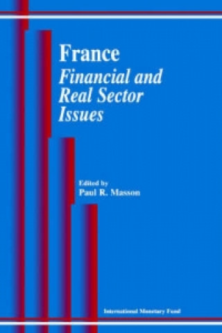 France Financial and Real Sector Issues