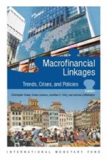 Macro-Financial Linkages