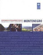Assessment of Development Results