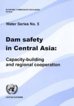 Dam Safety in Central Asia