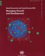 World Economic and Social Survey 2006, Diverging Growth and Development