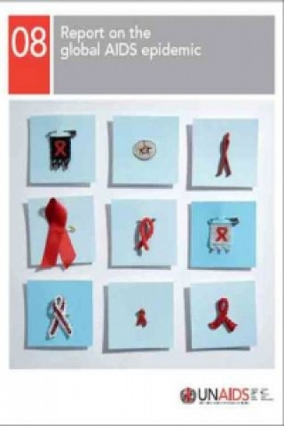 2008 Report on the Global AIDS Epidemic