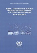 SMEGA - Accounting and Financial Reporting Guidelines for Small and Medium-sized Enterprises
