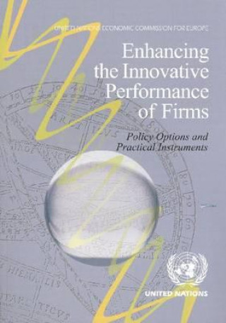 Enhancing the Innovative Performance of Firms