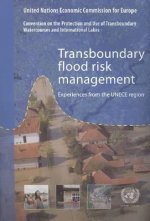 Transboundary Flood Risk Management