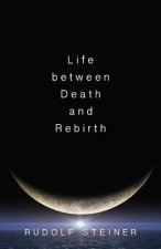 Life Between Death and Rebirth