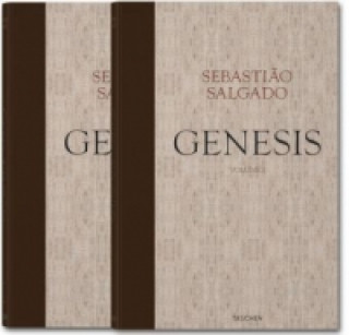 SU SALGADO GENESIS