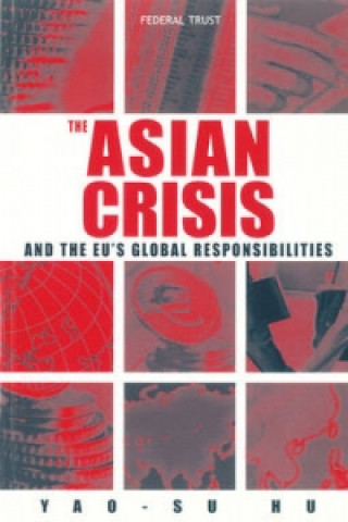 Asian Crisis and the EU's Global Responsibilities