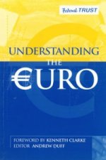 UNDERSTANDING THE EURO