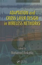 Adaptation and Cross Layer Design in Wireless Networks