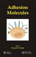 Adhesion Molecules